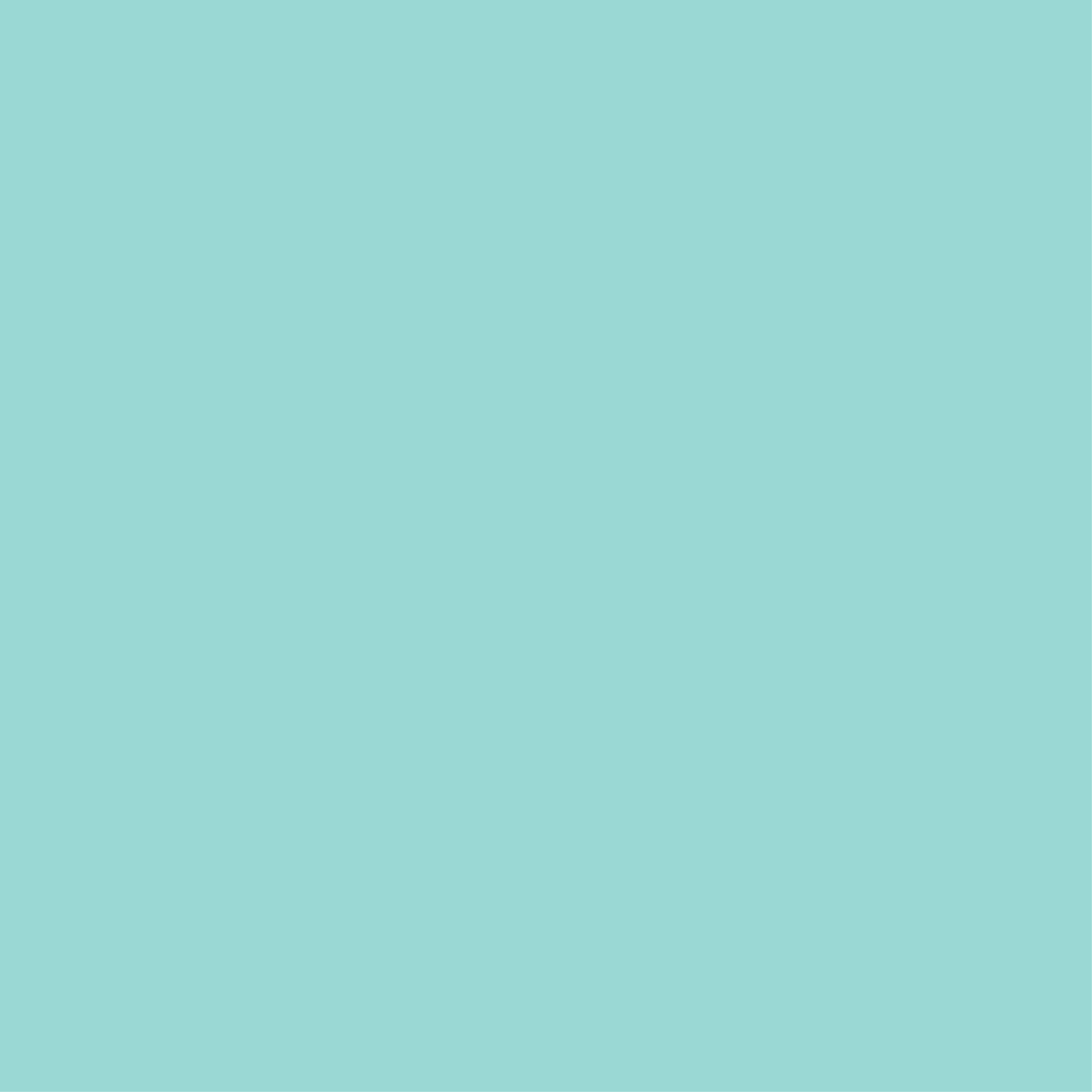 lazy image tablet